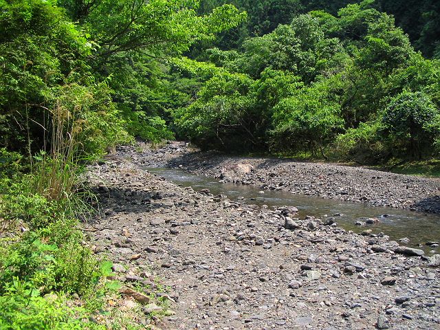 十津川・西川支流・今西川