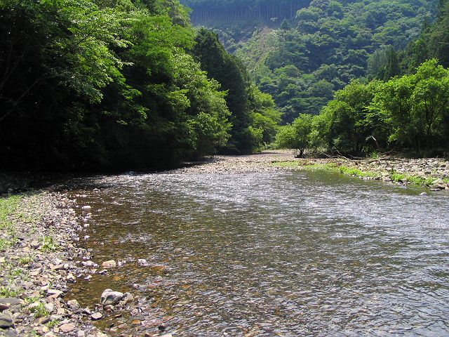 十津川・西川支流・今西川