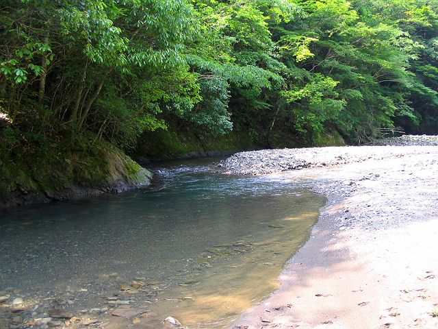 十津川・西川支流・今西川