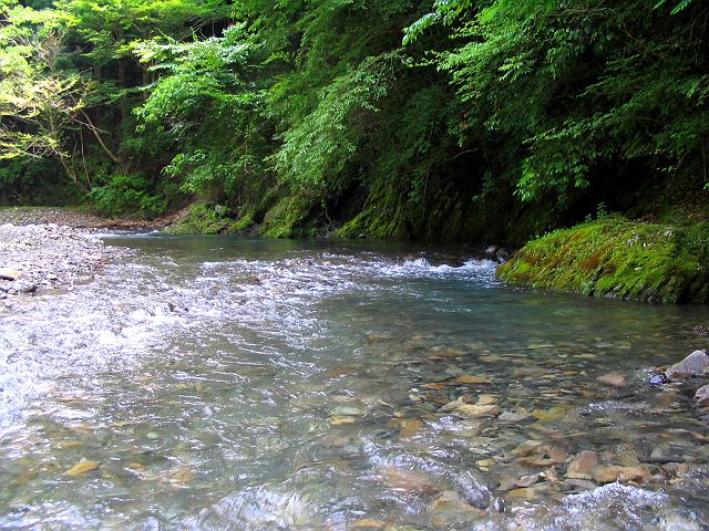 十津川・西川支流・今西川