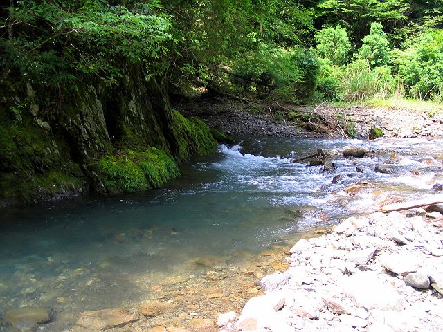 十津川・西川支流・今西川