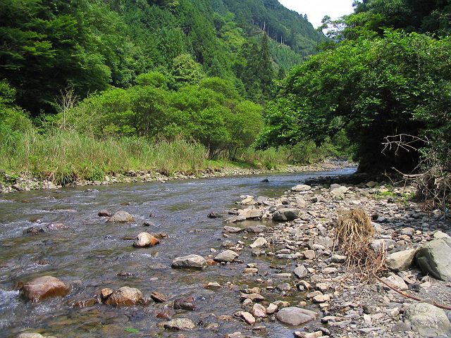 十津川・西川支流・今西川