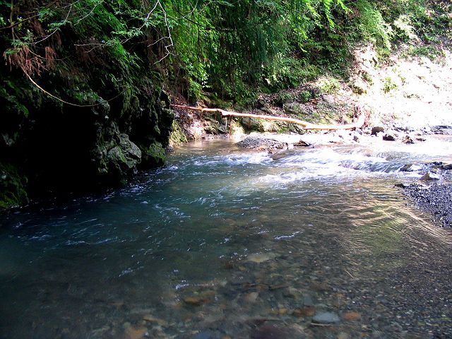 十津川・西川支流・今西川