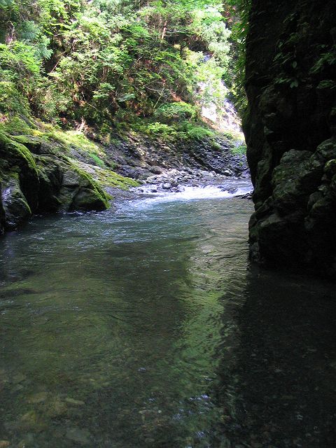 十津川・西川支流・今西川