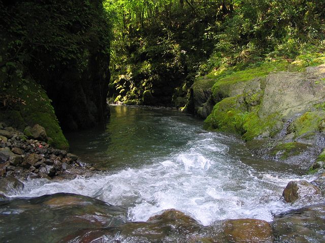 十津川・西川支流・今西川