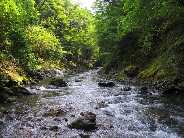 十津川・西川支流・今西川