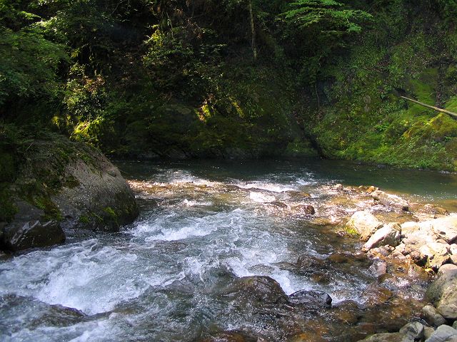 十津川・西川支流・今西川