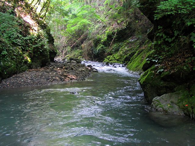 十津川・西川支流・今西川