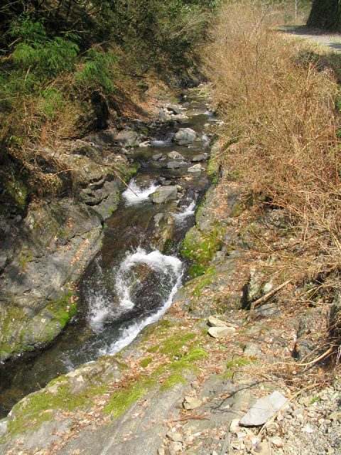 十津川・西川支流・ジャレ川