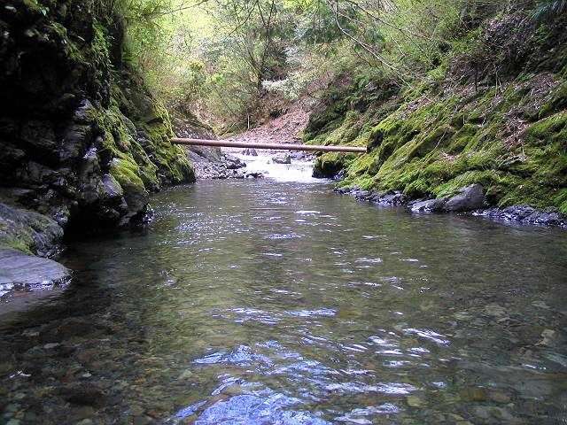 十津川・西川支流・片川