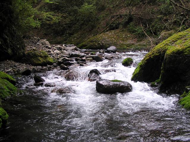 十津川・西川支流・片川