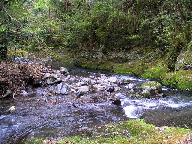 十津川・西川支流・片川