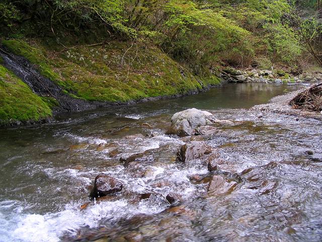 十津川・西川支流・片川