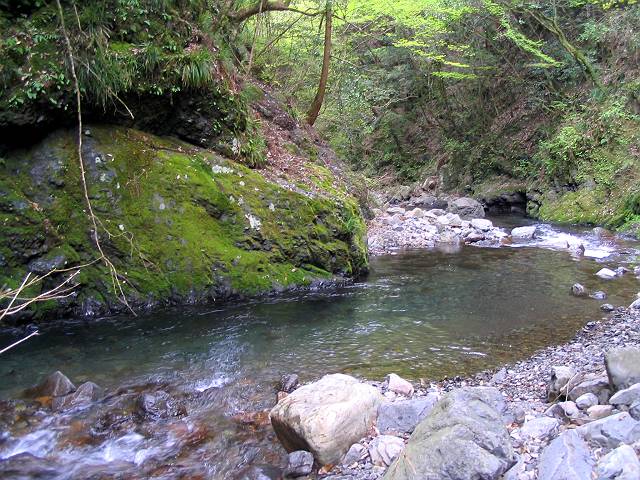 十津川・西川支流・片川