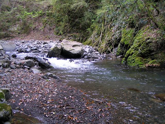 十津川・西川支流・片川