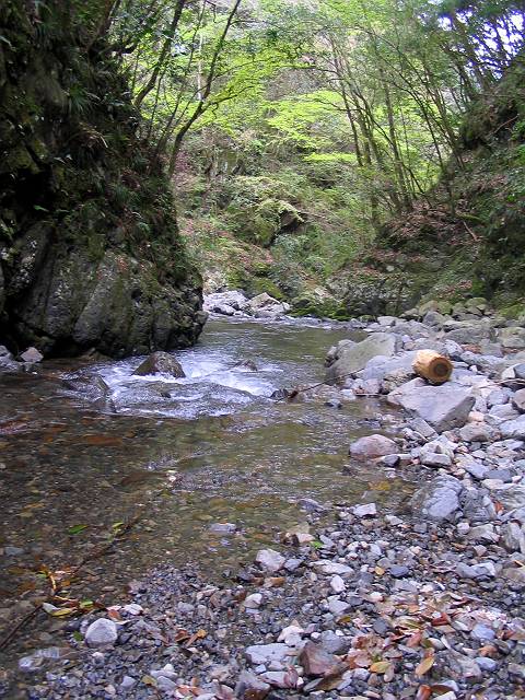 十津川・西川支流・片川