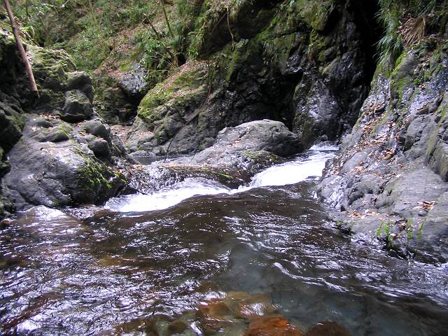 十津川・西川支流・片川