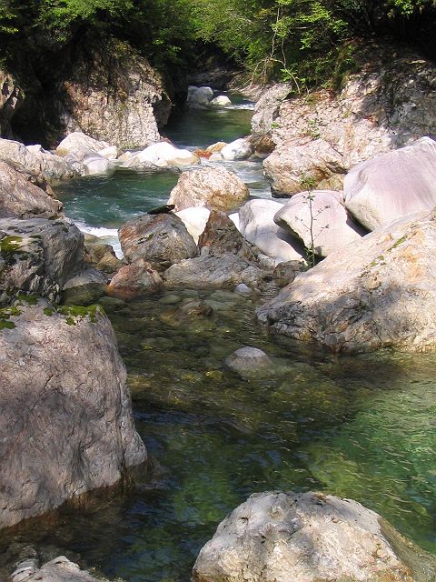 十津川・滝川本流