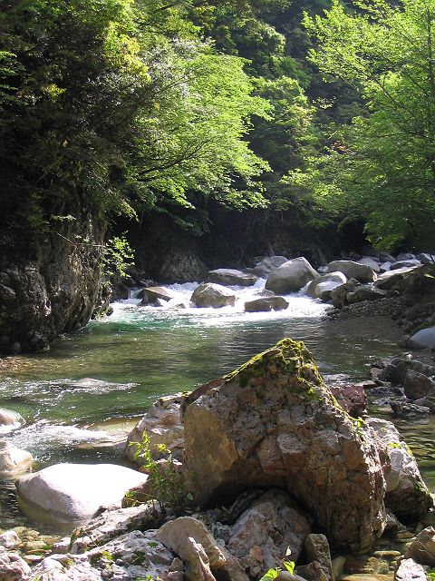 十津川・滝川本流