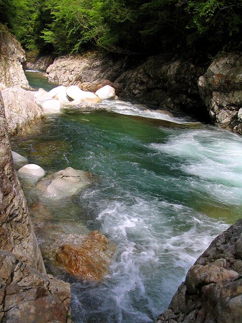 十津川・滝川本流