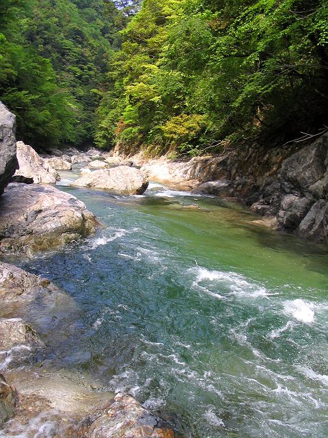 十津川・滝川本流