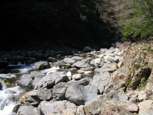 十津川・滝川本流