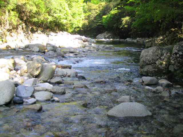 三重県銚子川