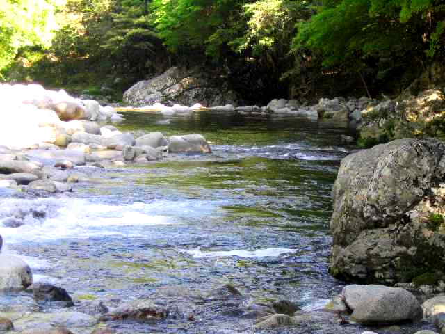 三重県銚子川