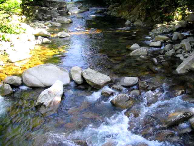 三重県銚子川