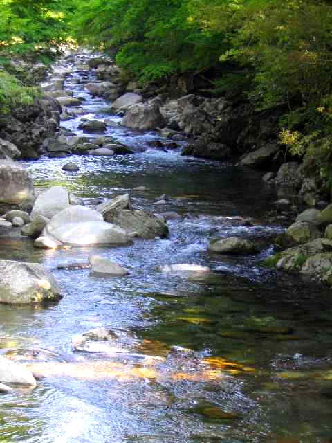 三重県銚子川