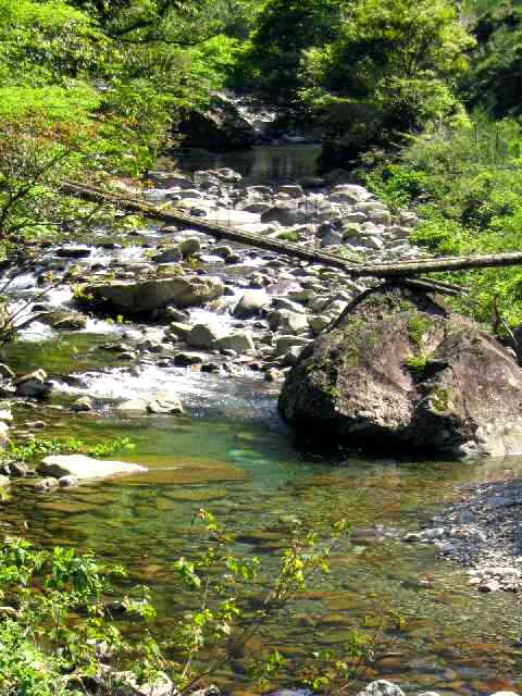 三重県銚子川