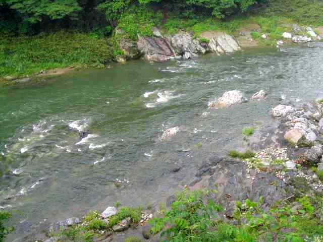 奈良県吉野川・五條漁協区