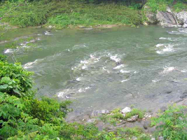 奈良県吉野川・五條漁協区