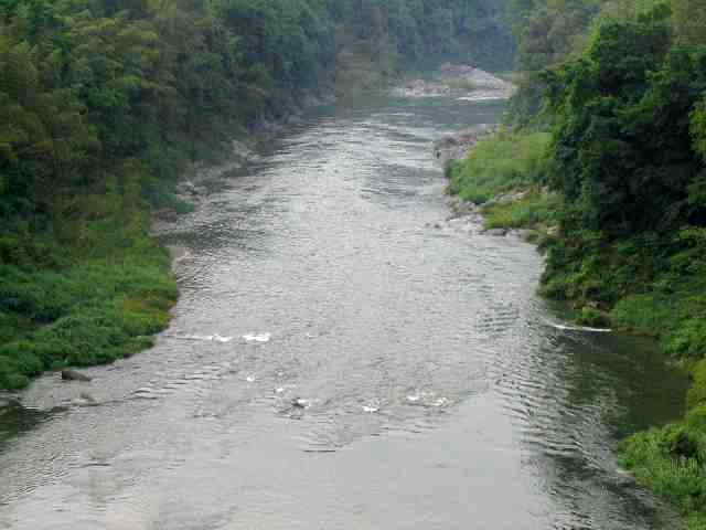 奈良県吉野川・五條漁協区