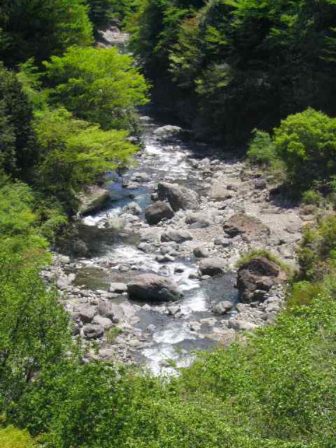 奈良県・北山川本流・上北山村