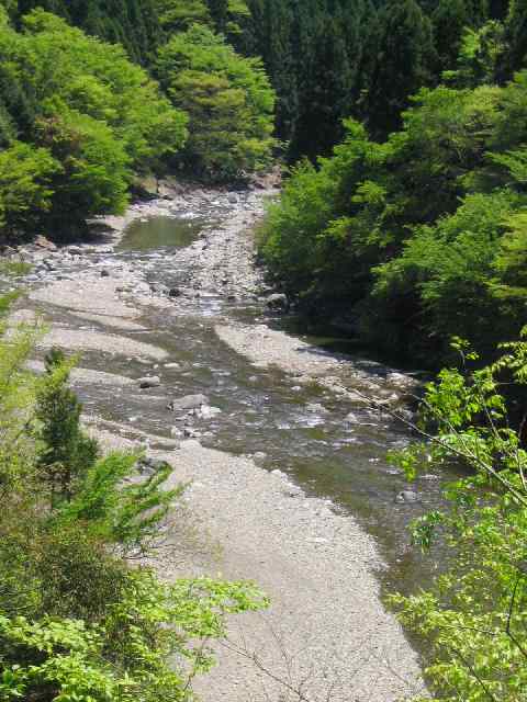 奈良県・北山川本流・上北山村