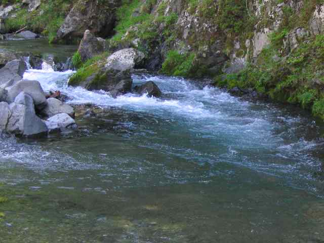 奈良県・北山川本流・上北山村