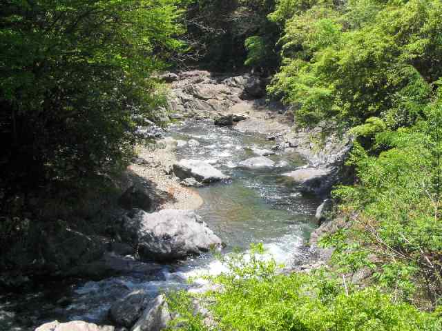 奈良県・北山川本流・上北山村