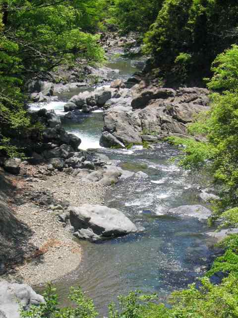 奈良県・北山川本流・上北山村