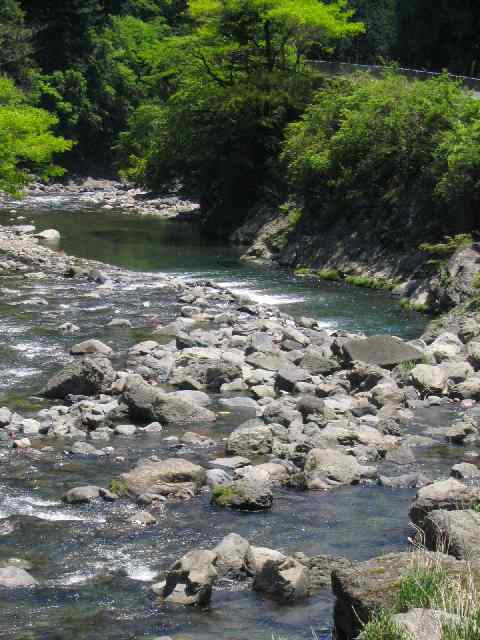 奈良県・北山川本流・上北山村