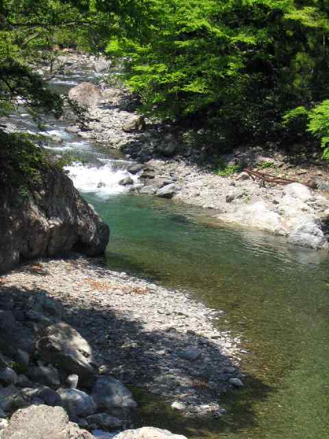 奈良県・北山川本流・上北山村