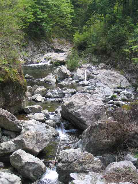 奈良県・吉野川・川上