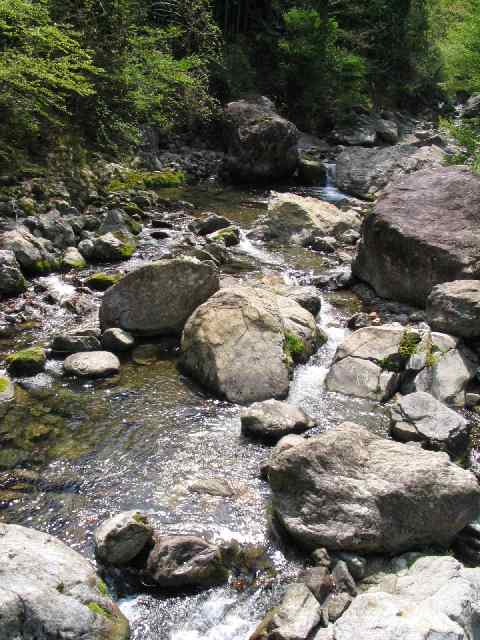 奈良県・吉野川・川上