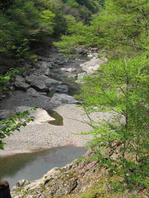 奈良県・吉野川・川上