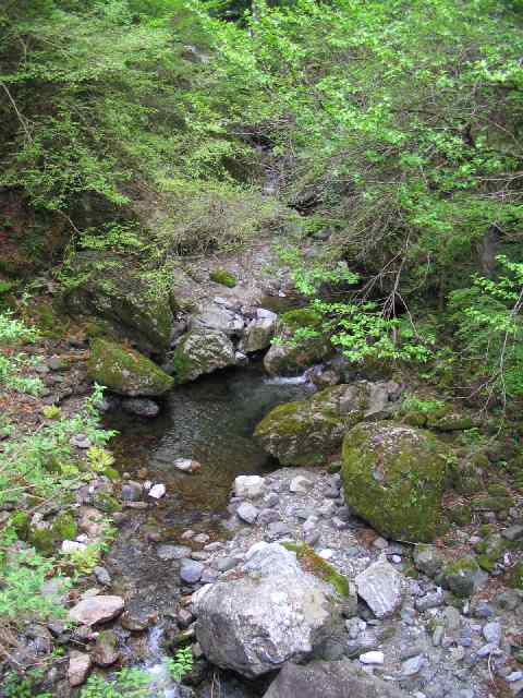 奈良県・吉野川・川上