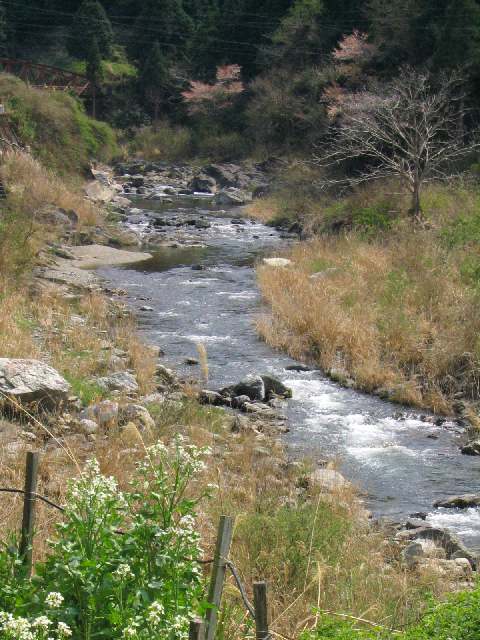 和歌山県貴志川