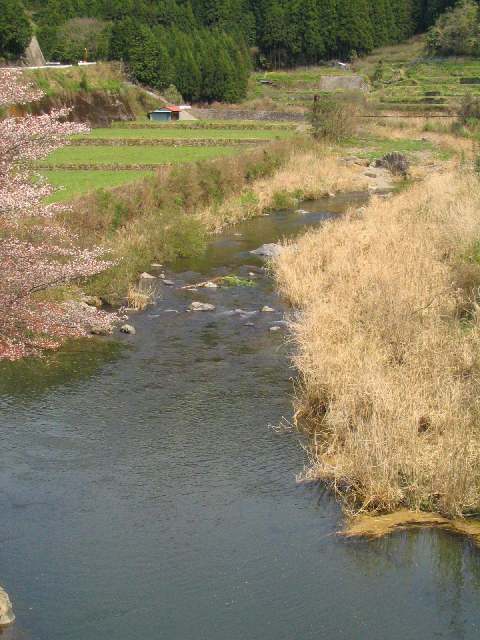 和歌山県貴志川