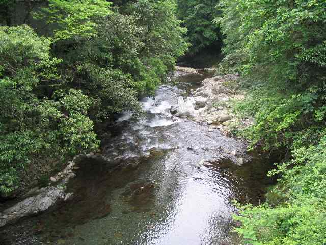 和歌山県四村川