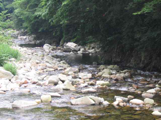 和歌山県四村川