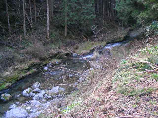 奈良県西吉野・黒滝川